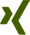 XING Profil